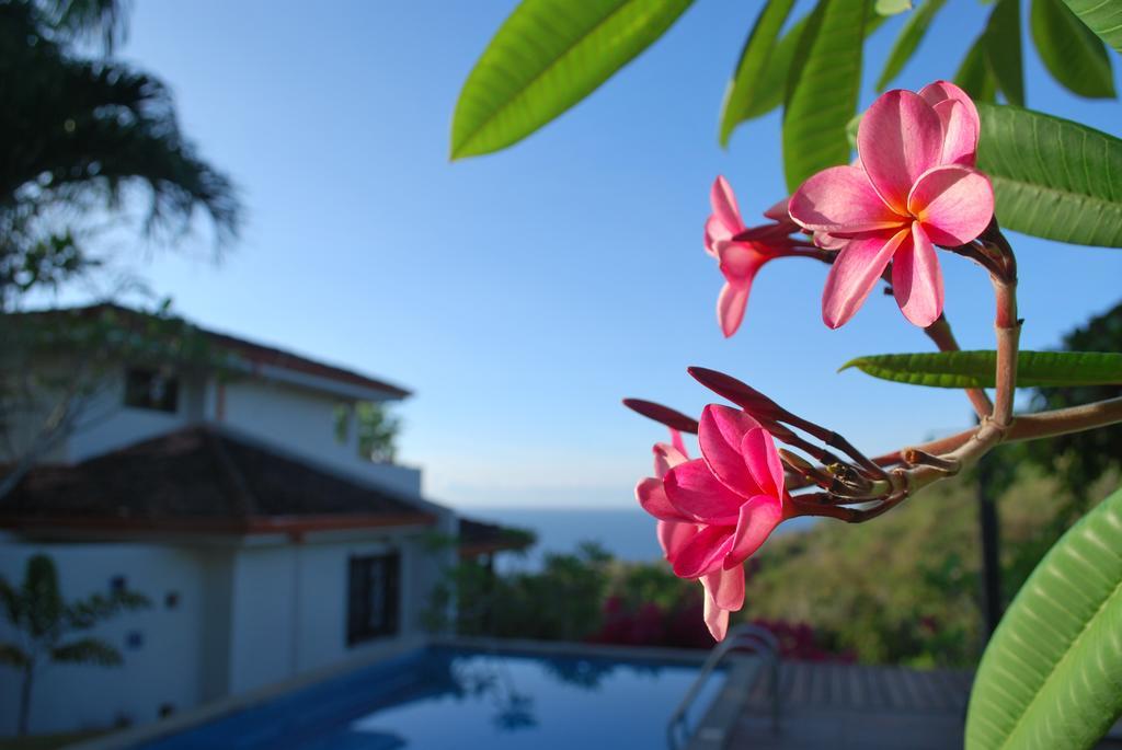 Casa Frangipani Hotel Montezuma Kültér fotó