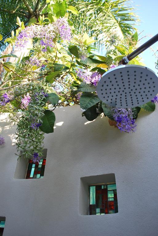 Casa Frangipani Hotel Montezuma Kültér fotó